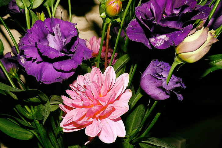 kytice, barevné, růžová, Barva, květiny