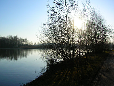 daneshill, Lac, eau, coucher de soleil, arbre, paysage, paysage