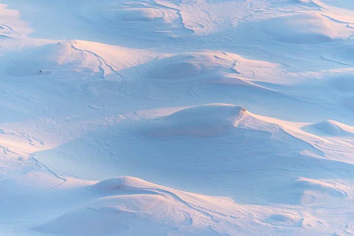 snow, winter, white, cold, weather, ice, nature