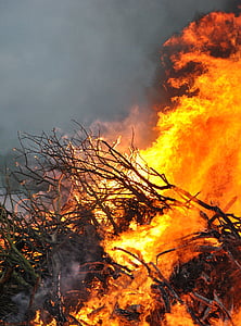 火, 炎, たき火, 木材, 燃焼, 可燃性