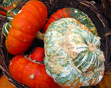 dekorativa squash, färgglada, pumpa, hösten, dekoration