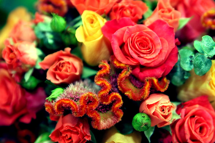 сватба, цветя, сватба цветя, романтичен, флорални, романтика, природата