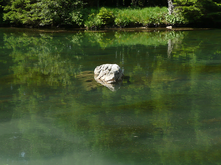 Lake, màu xanh lá cây, nước, Thiên nhiên, Rock, bò sát, động vật