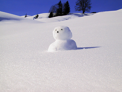 snow man, snow, winter, build, cold, fun