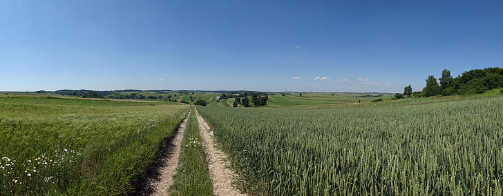Racławice, Polen, landskap, odling av, Polen village, jordbruk, naturen