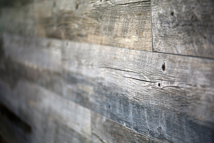 lesa, steno, tekstura, ozadje, plošče