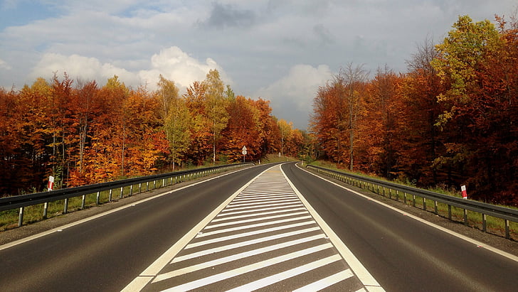 autunno, autostrada, Polonia, Olkusz, paesaggio di autunno, natura, scenograficamente