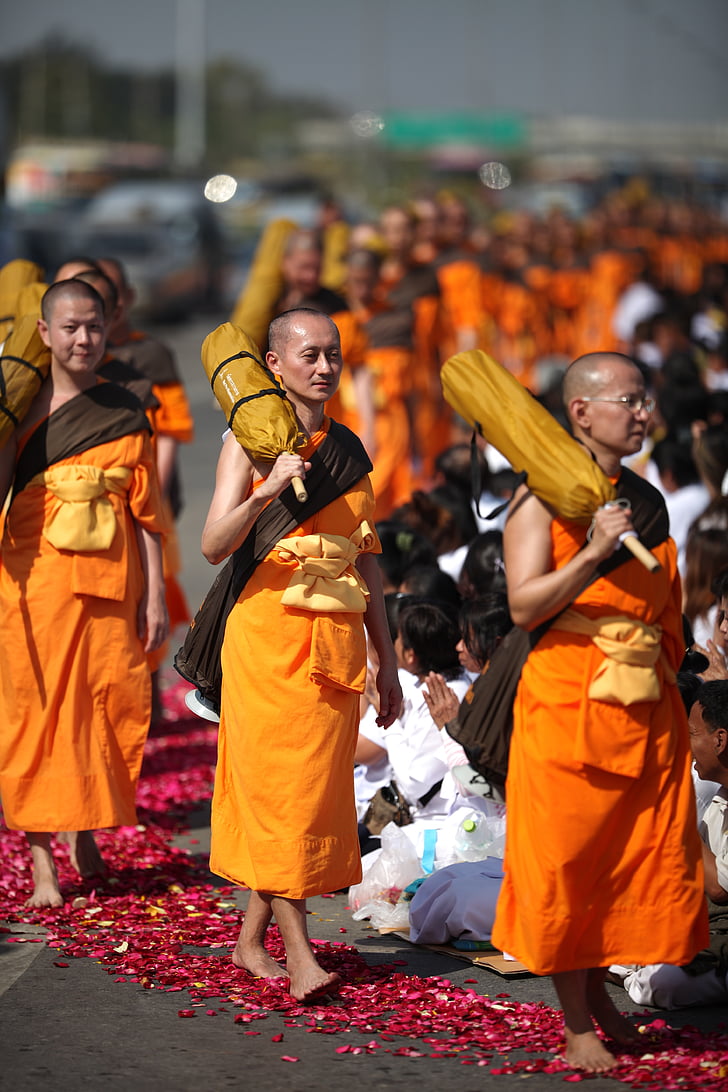 budistes, monjos, budisme, a peu, taronja, túniques, tailandès