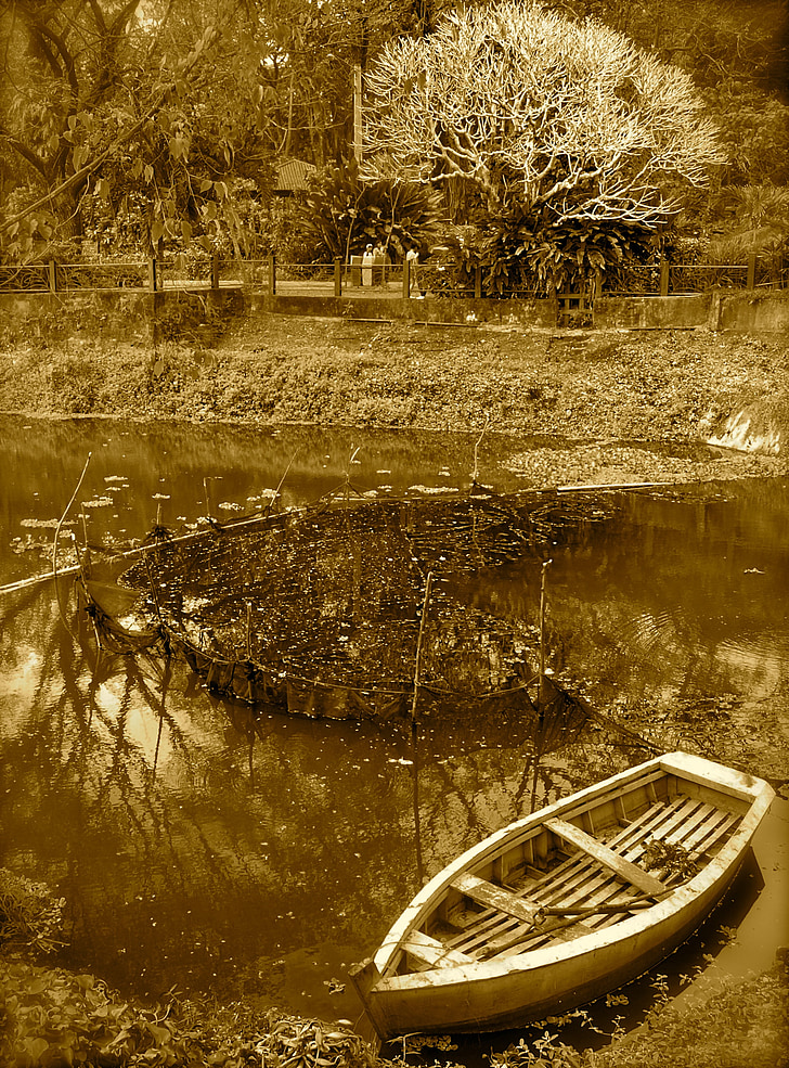 barco, Rio, margem do Rio, árvore, retrô, estranho, Lago