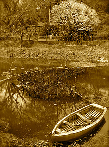 båt, floden, åstranden, träd, retro, kuslig, sjön