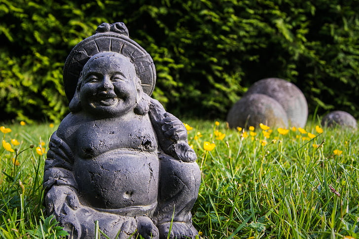 Buddha unfokussiert, Buddha, fengshui, Puutarha, Zen, patsas, kivi