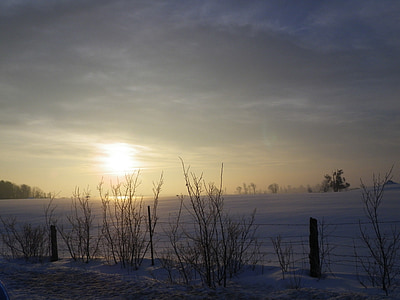 morning, sun, snow, field, nature, against day, landscape