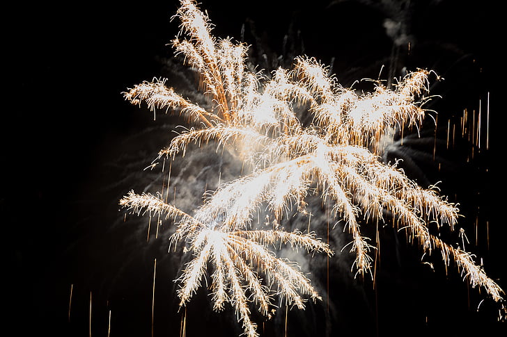vuurwerk, Zwitserland, nationale feestdag, explosie, nacht, viering, firework - mens gemaakte object