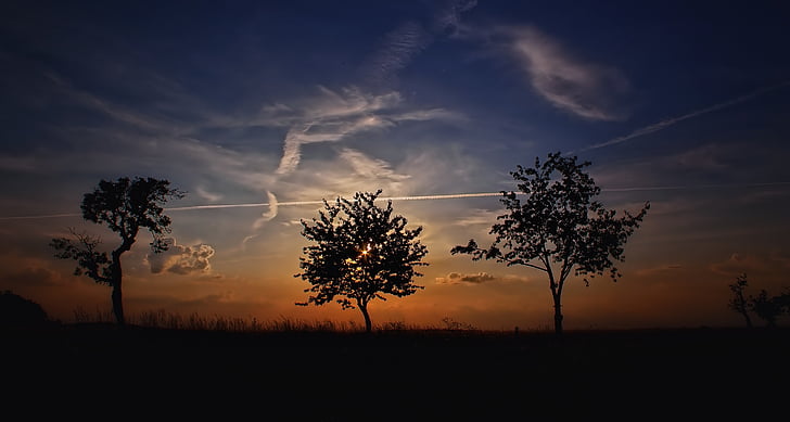 natureza, silhueta, céu, nascer do sol, pôr do sol, árvores, árvore