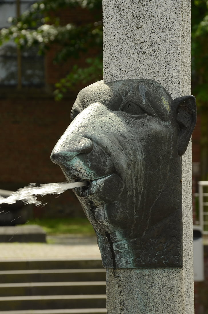 source, fountain, head, nar, water, carnival, kleve