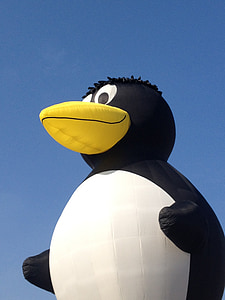 penguin, inflatable, toy, summer vacation, summer