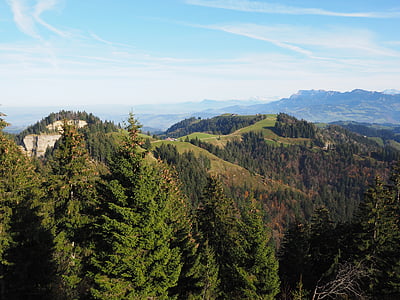 ภูเขา, ป่า, ธุดงค์, จุดหมายปลายทาง, สวิตเซอร์แลนด์, ยอดภูเขา, napfbergland