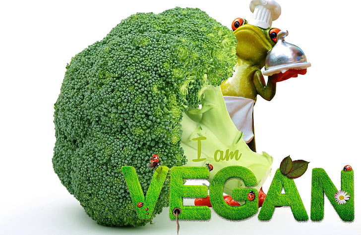 vegansk, appetitt, brokkoli, frosk, matlaging, morsom, søt