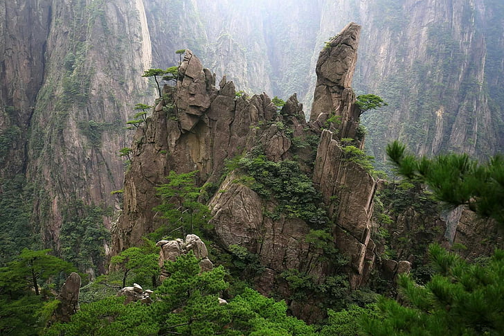 china, huangshan, cypress, jun rock, trees, no people, nature