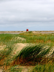 beach, dunes, teen beach borkum, north sea, sea grass, mood
