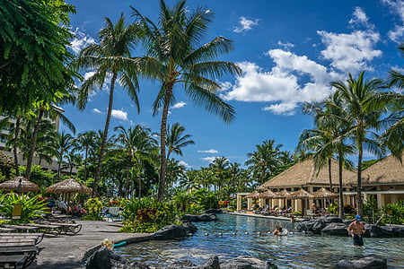 pool, resort, tropical, palm trees, sky, clouds, summer