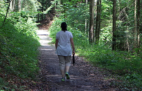 pėsčiomis, asmuo, moteris, vien tik, individualiai, eiti, miško