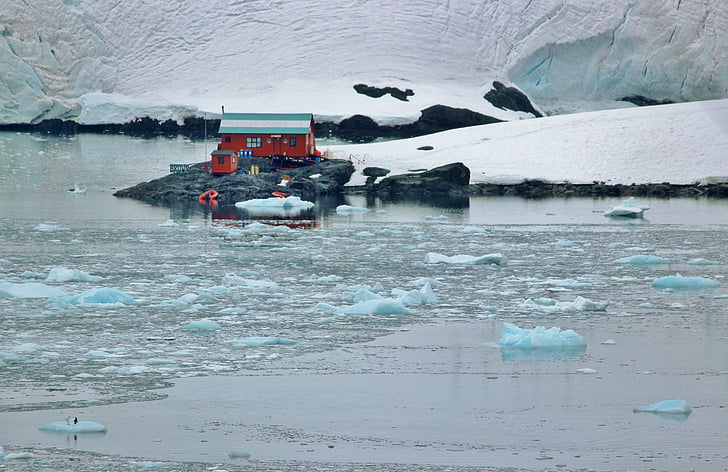 Antartika, gletser, es, mengambang, potongan, pemandangan, laut