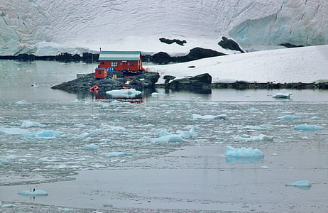 Antartide, ghiacciaio, ghiaccio, galleggiante, blocchi, paesaggio, oceano