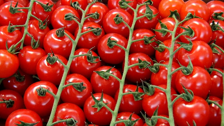 cherry tomatoes, cocktailtomaten, tomatoes, healthy, red, delicious, food