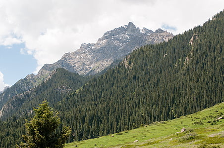 mountains, peak, greens, nature, canyon, kyrgyzstan, vacation