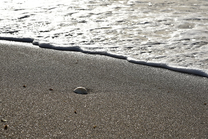 areia, pedra, onda, espuma, mar, praia, natureza