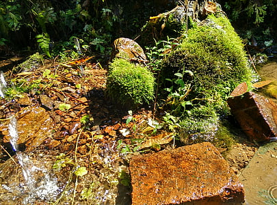 Creek, Moss, chorro de agua, ladrillo, piedra, roca, maderas