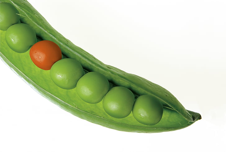 peas, pod, pea pod, green, fresh, different, stand out