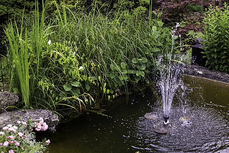 花园, 池塘, 水生植物, 水, 自然, 喷泉
