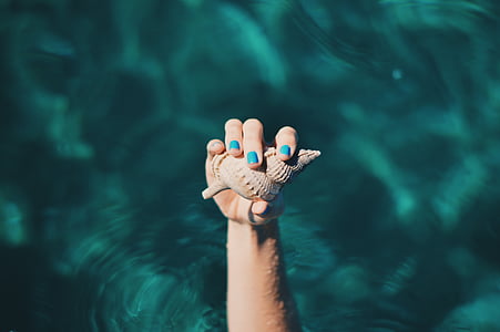 osoba, Holding, Seashell, fotografovanie, more, Ocean, vody