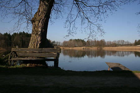 rybník, Lavička, Příroda, podzim, Pražská zákoutí