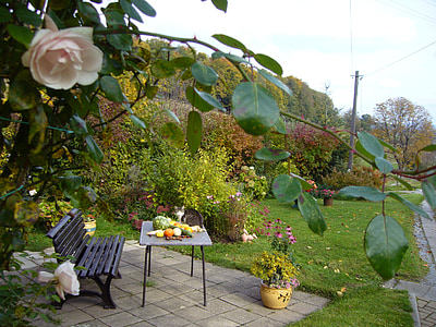terrasse, Bank, hyggeligt, efterår, roser, natur, tabel