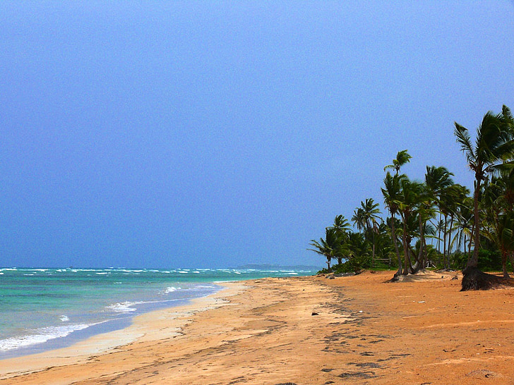 pludmale, saule, brīvdiena, Dominikānas, Republika, Alto, komplekti