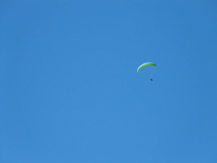 paraglider, paragliding, fly, screen, leisure, sport, hobby