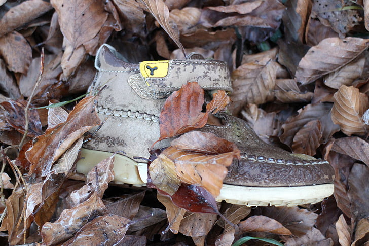 children's shoe, shoe, individually, nature, forest, child, clothing