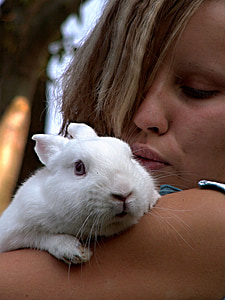 女孩, 兔子, 发育不良, 详细, 脸上, 白色, 动物