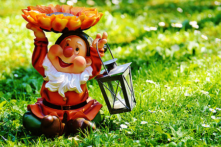 hage gnome, lykt, søt, søt, morsom, blomst, Sol blomst