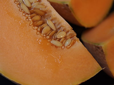 melon, cantaloupe, orange frugt