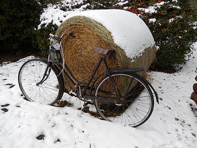 zimowe, rower, śnieg, siano