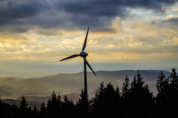 pinwheel, forêt-noire, turbine de vent, énergie éolienne, nature, pales de rotor, ciel du soir