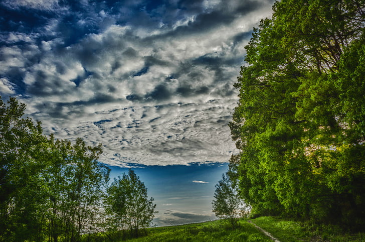 völgy bolechowicka, természet, táj, felhők