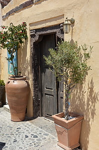 casa, antiga porta, fusta, planta