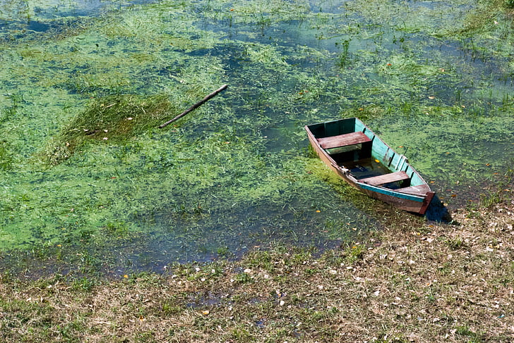 φύση, βάρκα, νερό, το καλοκαίρι, Λίμνη, μπλε, πράσινο