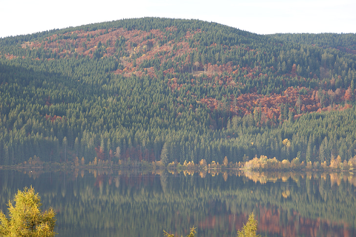 rudens, ezers, Black forest, schluchsee, spoguļattēls