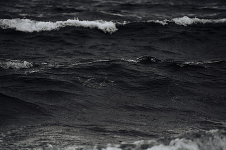 vücut, su, gri tonlama, Fotoğraf, okyanus, Deniz, su vücut